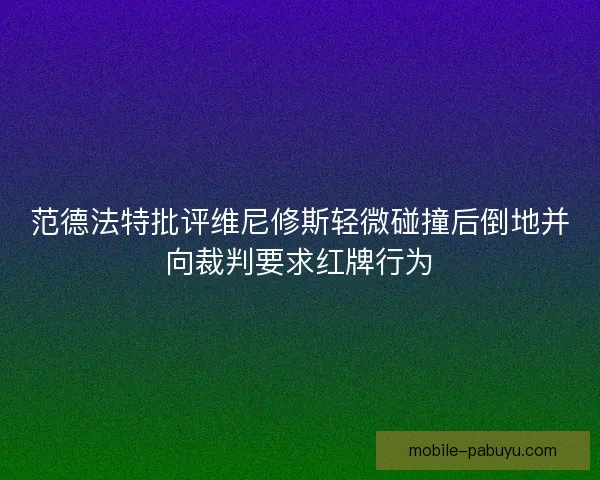 范德法特批评维尼修斯轻微碰撞后倒地并向裁判要求红牌行为